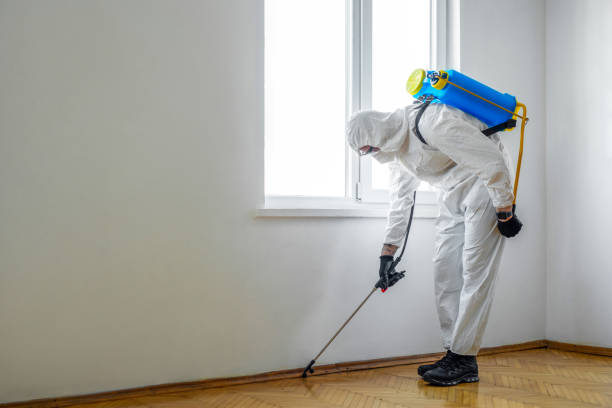  Woodlawn, MD Pest Control Pros