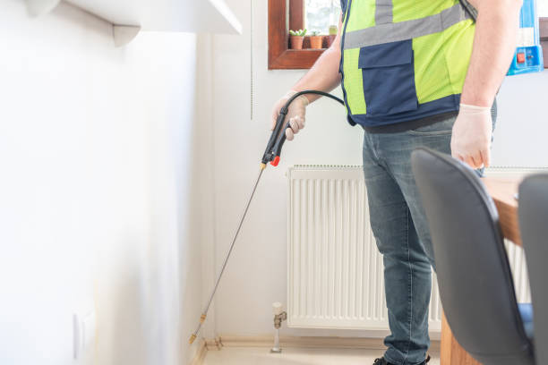 Reliable Woodlawn, MD Pest Control Solutions