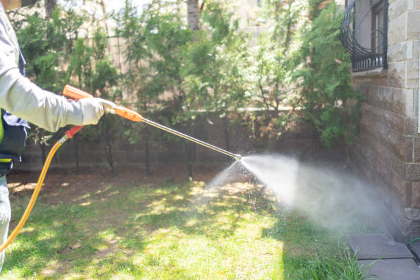 Wildlife Control Services in Woodlawn, MD