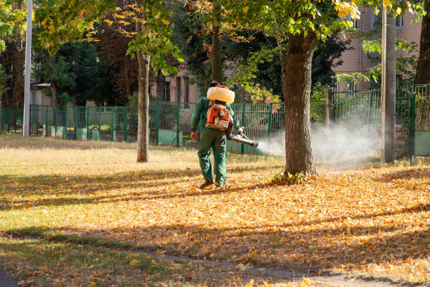 Best Bed Bug Extermination  in Woodlawn, MD