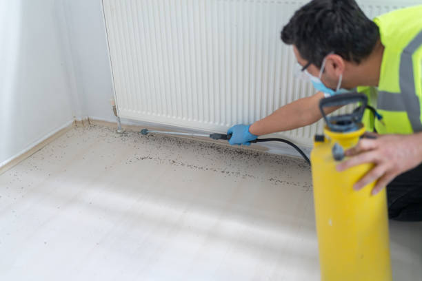 Best Flea Control Services  in Woodlawn, MD